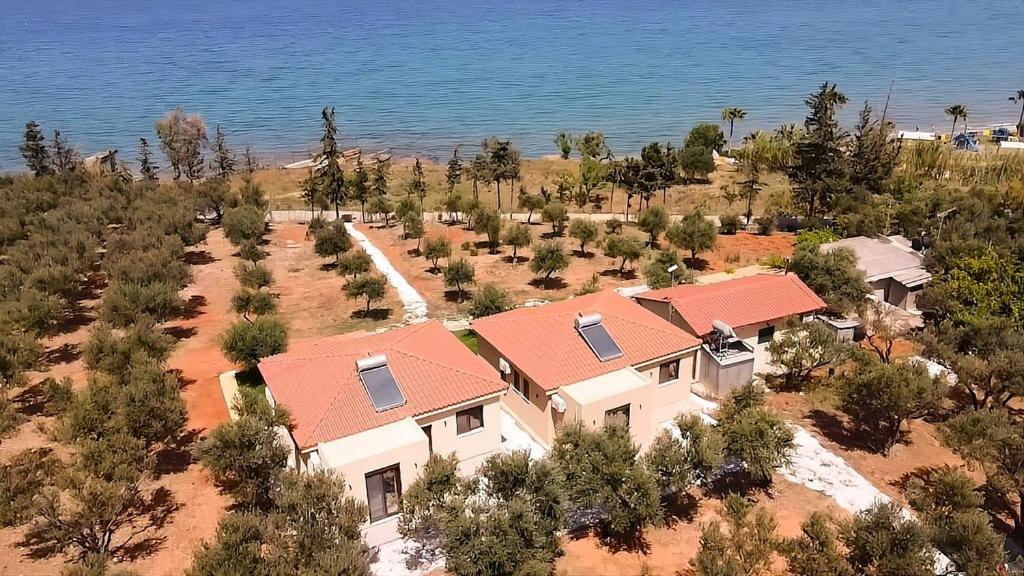 Holiday home Terra Blue - Dimitra *